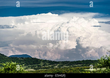 Wolkenformationen über Nambiti Reserve, Kwa-Zulu Natal, Südafrika Stockfoto