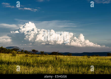 Wolkenformation über Savannen im Nambiti Reserve, Kwa-Zulu Natal, Südafrika Stockfoto