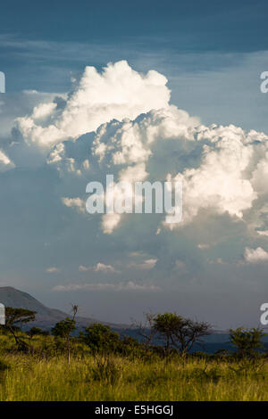 Wolkenformation über Savannen im Nambiti Reserve, Kwa-Zulu Natal, Südafrika Stockfoto