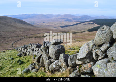 Trockenmauer, die bis zu den Scottish mountain cairnsmore von carsphairn (Corbett) Stockfoto