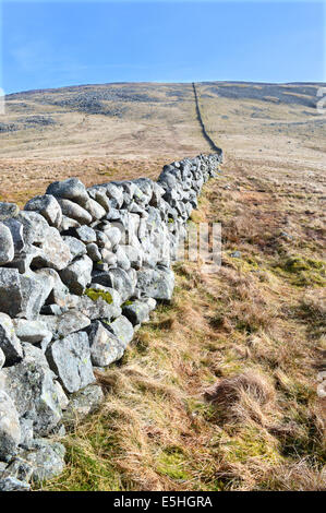 Trockenmauer, die bis zu den Scottish mountain cairnsmore von carsphairn (Corbett) Stockfoto