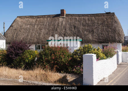 Irland, County Wexford, Kilmore Quay cottage Stockfoto