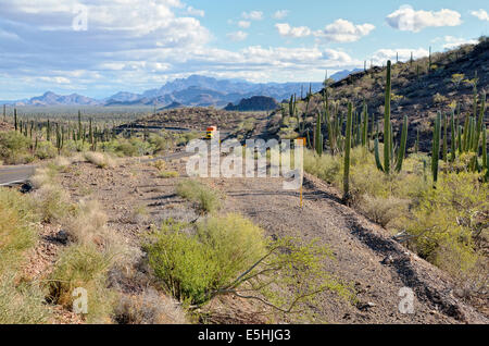 Highway 1, nördlich von Loreto, Sierra De La Giganta, Baja California Sur, Mexiko Stockfoto