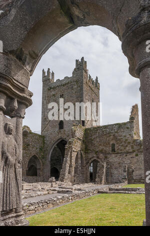 Irland, Grafschaft Kilkenny, Thomastown, Jerpoint Abbey Stockfoto