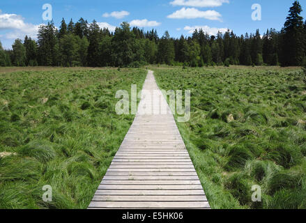 Kladska Torf (Glatzener Moor) ist ein nationales Naturreservat in Slavkov Woods - Landschaftsschutzgebiet. Kaiserwald Stockfoto