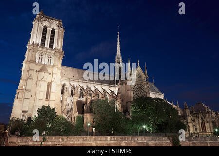 Kathedrale Notre Dame de Paris in Frankreich bei Nacht, Side view Stockfoto