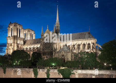 Kathedrale Notre Dame de Paris in Frankreich bei Nacht, Side view Stockfoto