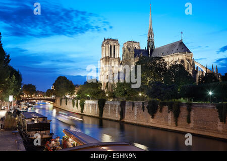 Kathedrale Notre Dame de Paris in Frankreich in der Nacht mit Blick auf den Fluss Seine Stockfoto