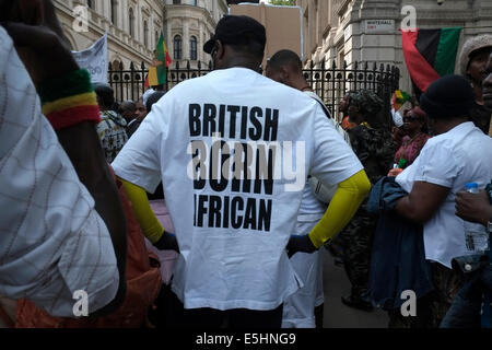 London, UK. 1. August 2014. Nachkommen von Sklaven marschierten von Brixton Downing Street fordern Wiedergutmachung für den Sklavenhandel und die Rückführung in Afrika Credit: Rachel Megawhat/Alamy Live News Stockfoto