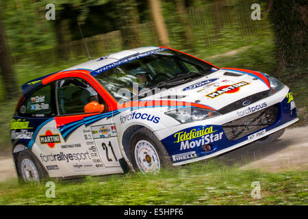 2001 Ford Focus WRC mit Fahrer Steve Rockingham auf der Rallye inszenieren auf der 2014 Goodwood Festival of Speed, Sussex, UK. Stockfoto