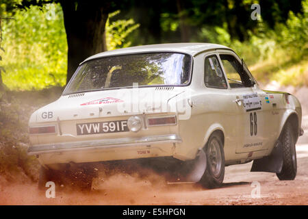 1968 Ford Escort Twin Cam mit Fahrer David Watkins am Wald inszenieren auf der 2014 Goodwood Festival of Speed, Sussex, UK. Stockfoto