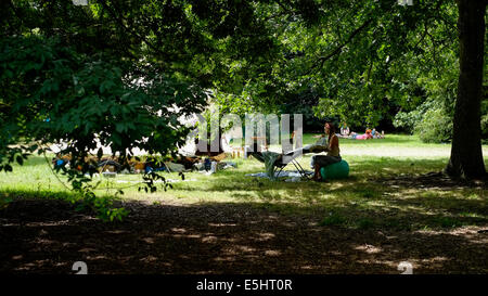 Malmesbury, Großbritannien, 27.07.2014: Atmosphäre bei WOMAD - Welt der Musik, Kunst und Tanz. Therapie und Entspannung Sitzungen in den Bäumen. Bild von Julie Edwards Stockfoto