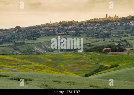 Toskana-Landschaft rund um Pienza, Val d ' Orcia, Italien Stockfoto