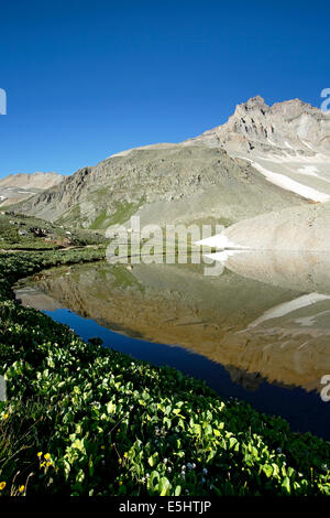 Gilpin Peak spiegelt sich auf Wright See, Yankee Boy Becken, in der Nähe von Ouray, Colorado USA Stockfoto