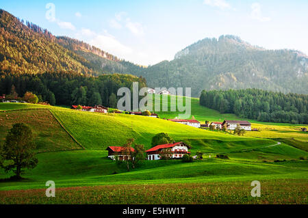 Bergdorf in den Alpen Stockfoto
