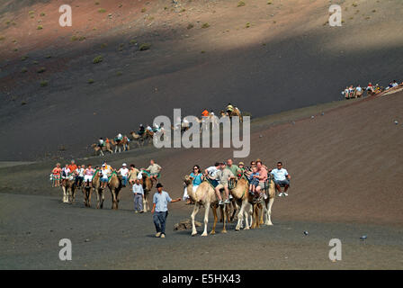 Kamel-Tour im Timanfaya-Nationalpark Stockfoto