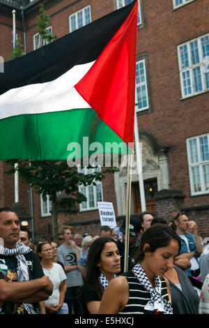 Kopenhagen, Dänemark. 31. Juli 2014. Einige 400 Leute zeigt vor der US-Botschaft in Kopenhagen, Protest gegen die amerikanische Unterstützung Israels und es ist Krieg im Gaza-Streifen. Später zog die Demonstration die paar Kilometer nach der israelischen Botschaft in Kopenhagen. Die Demonstration wurde in 4 Tagen von Privatpersonen über Facebook organisiert. Auf dem Foto einer jungen Frau mit einem großen palästinensischen Flagge. Bildnachweis: OJPHOTOS/Alamy Live-Nachrichten Stockfoto