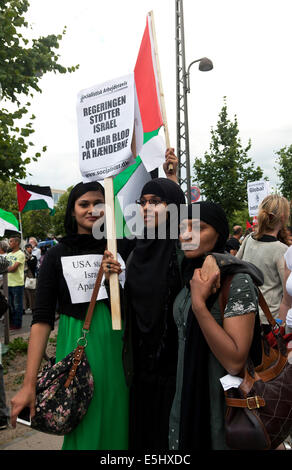 Kopenhagen, Dänemark. 31. Juli 2014. Einige 400 Leute zeigt vor der US-Botschaft in Kopenhagen, Protest gegen die amerikanische Unterstützung Israels und es ist Krieg im Gaza-Streifen. Später zog die Demonstration die paar Kilometer nach der israelischen Botschaft in Kopenhagen. Die Demonstration wurde in 4 Tagen von Privatpersonen über Facebook organisiert. Auf dem Foto 3 junge Palästinenserin bei der Demo. Die Zeichen (großen) Staaten: "die Regierung unterstützen Israel - und haben Blut an den Händen". Bildnachweis: OJPHOTOS/Alamy Live-Nachrichten Stockfoto