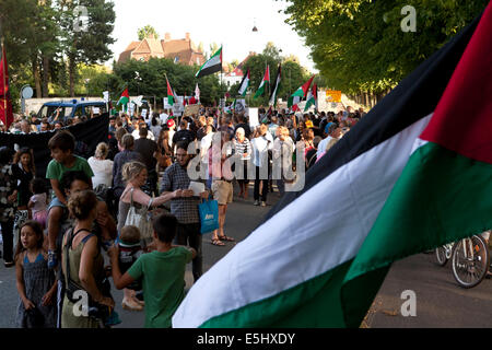 Kopenhagen, Dänemark. 31. Juli 2014. Einige 400 Leute zeigt vor der israelischen Botschaft in Kopenhagen gegen die Kriegsführung auf Gaza protestiert. Die Demonstration begann der US-Botschaft in Kopenhagen und zog von dort nach der israelischen Botschaft. Die Demonstration wurde in 4 Tagen von Privatpersonen über Facebook organisiert. Bildnachweis: OJPHOTOS/Alamy Live-Nachrichten Stockfoto