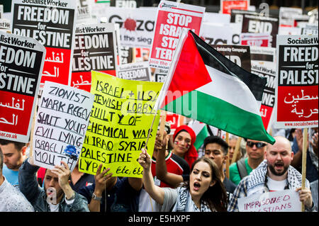 London, UK. 1. August 2014. Das "Massaker" in Gaza Protest zu stoppen. Sie stellten bei der israelischen Botschaft. Sie forderten "Israels Bombardierung und Tötung, jetzt und für David Cameron zu stoppen, Unterstützung der israelischen Kriegsverbrechen zu stoppen". London, 1. August 2014. Bildnachweis: Guy Bell/Alamy Live-Nachrichten Stockfoto