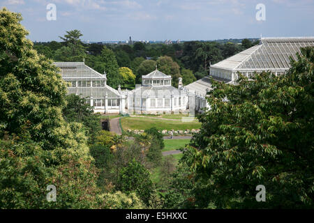 Blick auf gemäßigten Haus von Xstrata Treetop Walkway - Kew Gardens, London Stockfoto