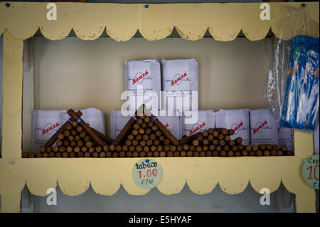 Authentische kubanische Zigarren zu verkaufen und auf dem Display in einem Geschäft in Havanna, Kuba Stockfoto