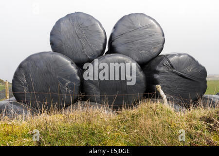 Stapel von fünf Silageballen, verpackt in schwarzem Kunststoff, auf kleine Bank. Stockfoto