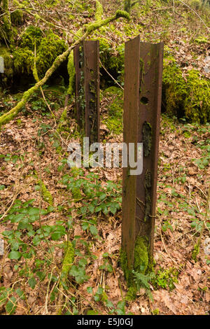 Seltene UK anti-Invasion Hindernisse – anti-Tank-Schienen aus Metall. Teil von Carmarthen Stop Linie, Wales, Vereinigtes Königreich. Stockfoto