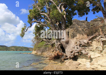 Kanone auf britische Fort James erbaute um St. John's Harbour in Antigua Barbuda in der Karibik zu schützen angezeigt. Stockfoto