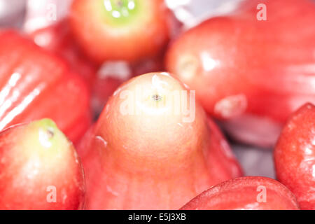 Rosenapfel Stockfoto