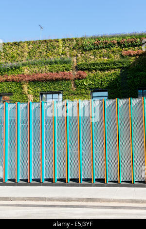 Vertical Garden in Camden Town MTV Viacom Gebäude Stockfoto