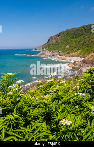 Die baskische Küste in der Nähe von Bermeo, Baskenland, Spanien Stockfoto