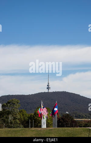 Black Mountain Tower vom Ufer des Lake Burley Griffin, Canberra Australien Stockfoto