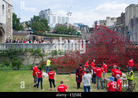 Mohn in den Tower of London, die gedenken, die im ersten Weltkrieg ihr Leben verloren. Stockfoto