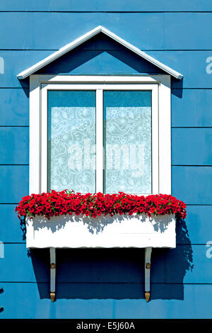 Detail von einem blauen Holzhaus mit roten Blumen in der Stadt von Smögen, Bohuslän, Västra Götaland Iän, Schweden, Skandinavien. Stockfoto