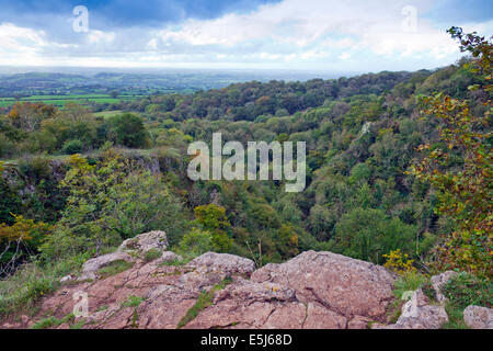 Blick hinunter in die Ebbor Schlucht, Mendip Hügel, Somerset, England, UK Stockfoto