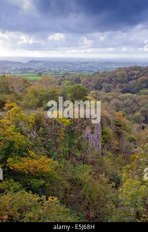 Blick hinunter in die Ebbor Schlucht, Mendip Hügel, Somerset, England, UK Stockfoto