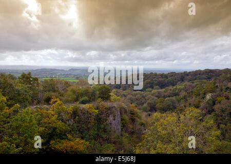 Blick hinunter in die Ebbor Schlucht, Mendip Hügel, Somerset, England, UK Stockfoto