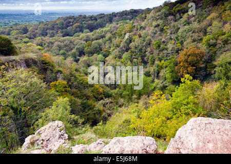 Blick hinunter in die Ebbor Schlucht, Mendip Hügel, Somerset, England, UK Stockfoto