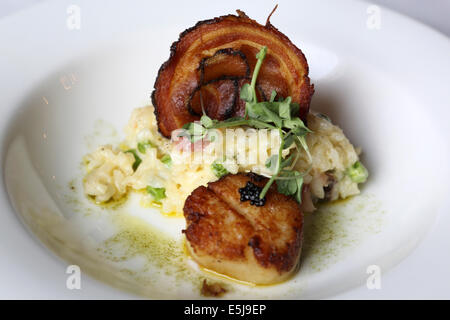 Risotto mit knusprigem Speck und gebratene Jakobsmuschel serviert. Stockfoto