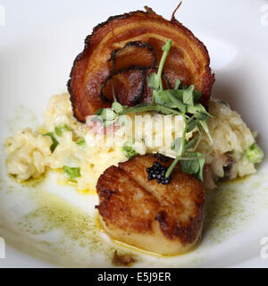 Risotto mit knusprigem Speck und gebratene Jakobsmuschel serviert. Stockfoto