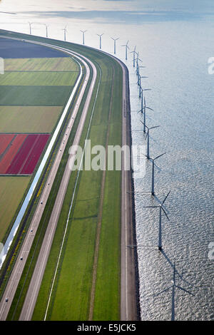 Niederlande, Lelystad, See namens IJsselmeer. Windenergieanlagen. Blühende Tulpen. Antenne. Flovopolder. Stockfoto