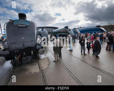 Klasse A4 Schwester Motoren sammeln große Abschied in Shildon, County Durham Stockfoto