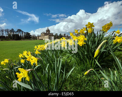 Narzissen Zeitpunkt Castle Howard, in der Nähe von Malton, North Yorkshire Stockfoto