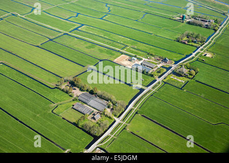 Niederlande, Durgerdam. Bauernhöfe im Polder genannt IJdoorn. Luftbild Stockfoto