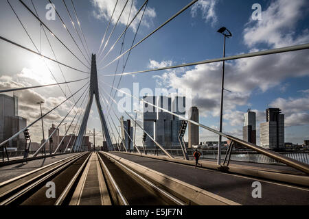 Niederlande, Rotterdam, Erasmus Brücke und Stadt Skyline genannt Kop van Zuid. Gebäude mit dem Namen De Rotterdam. Stockfoto