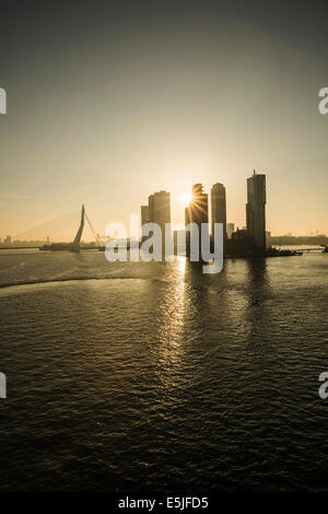 Niederlande, Rotterdam, Kop van Zuid-Viertel mit Kreuzfahrt-terminal und High-Rise Gebäude. Erasmus-Brücke. Sunrise. Stockfoto