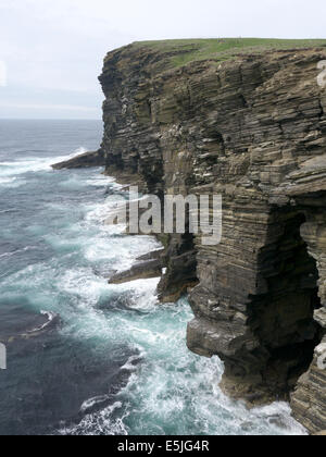 Marwick Head, Orkney Festland, Juni 2014 Stockfoto