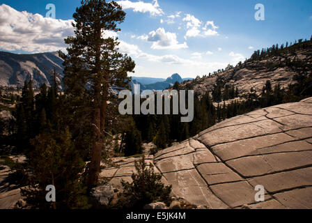 Half Dome von Tioga Pass. Yosemite Nationalpark, Kalifornien USA Stockfoto