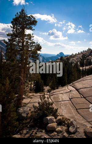 Half Dome von Tioga Pass. Yosemite Nationalpark, Kalifornien USA Stockfoto